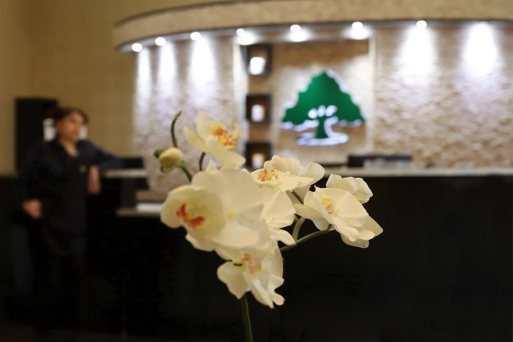 Red Roof Inn & Suites Longview Dış mekan fotoğraf